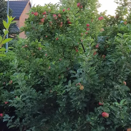 Roz Hus Apartment Neksø