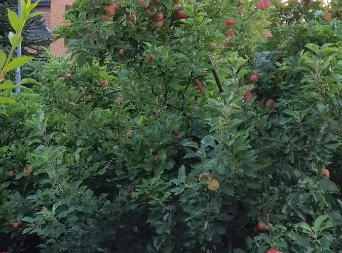 Roz Hus Appartamento Neksø