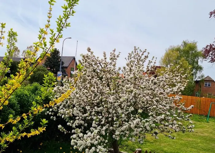 Appartamento Roz Hus *